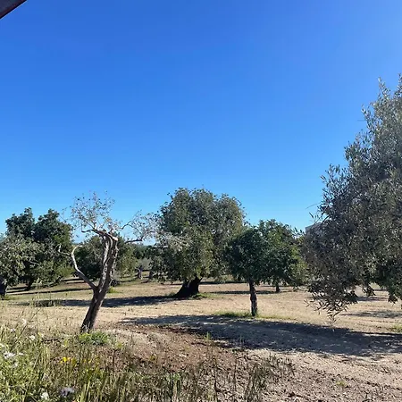Vacanze Buonivini Holiday home Noto