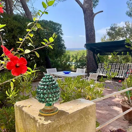 Vacanze Buonivini *